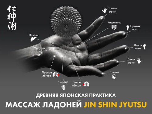 Массажное кресло FUJIMO EXCELSIOR Коричневый